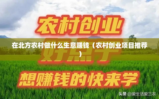 在北方农村做什么生意赚钱（农村创业项目推荐）