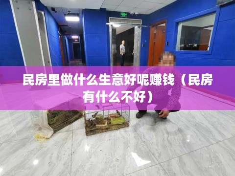 民房里做什么生意好呢赚钱（民房有什么不好）