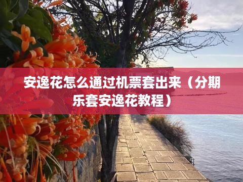 安逸花怎么通过机票套出来（分期乐套安逸花教程）