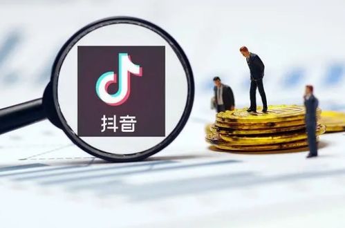 抖音月付专业套出来（抖音月付专业套详解）