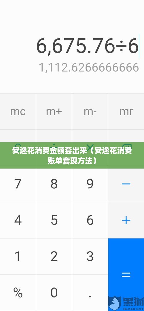 安逸花消费金额套出来（安逸花消费账单套现方法）