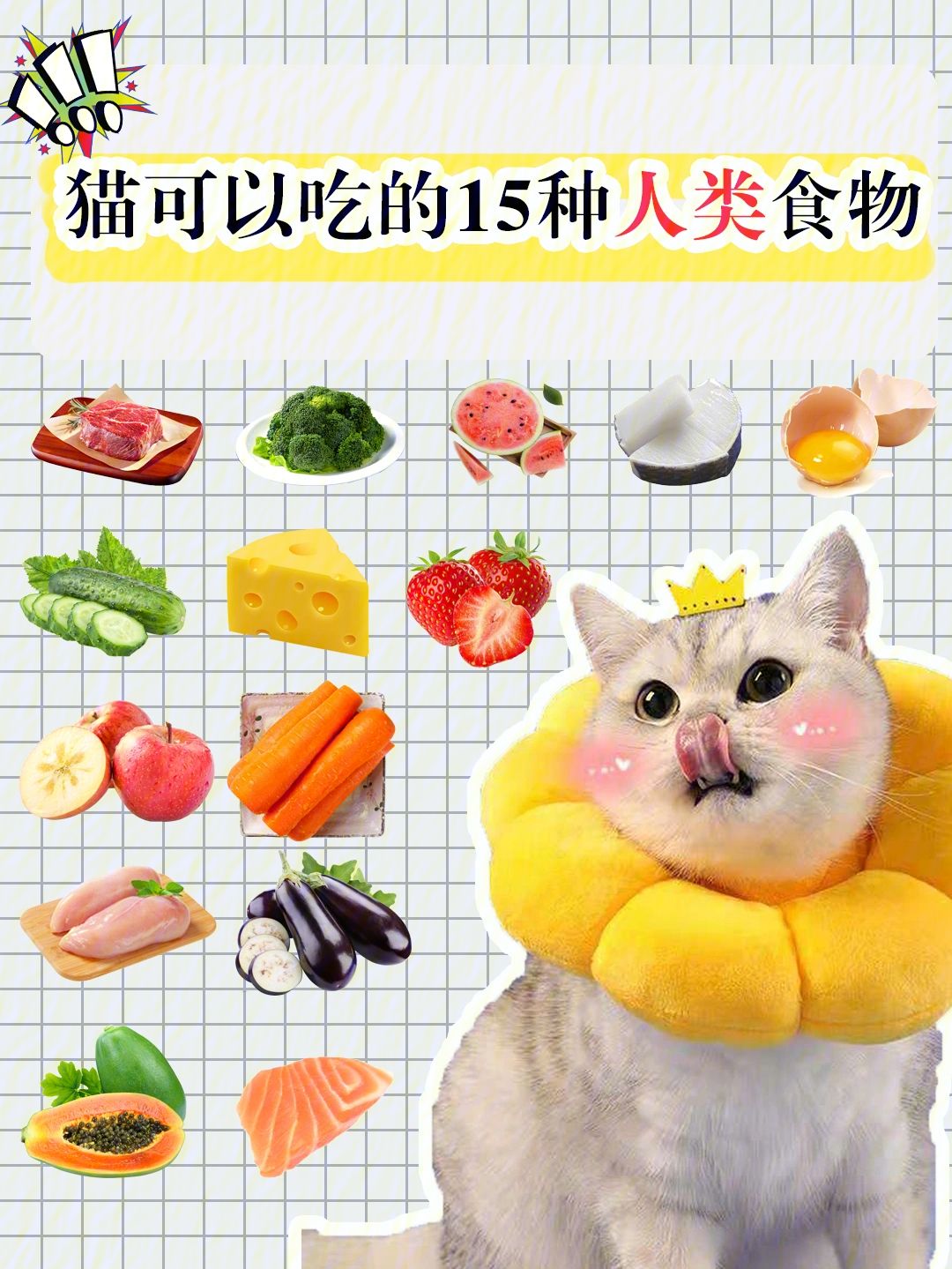 猫咪可以补钙的食物有哪些 猫咪可以补钙的食物有哪些图片