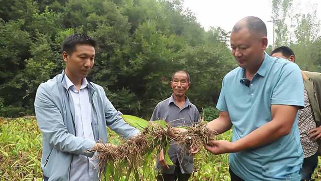 农村小伙子创业做什么好 农村小伙做什么行业前景好