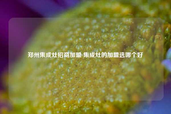 郑州集成灶招商加盟 集成灶的加盟选哪个好