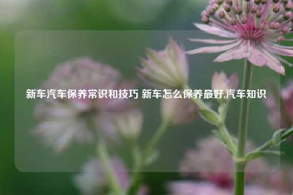 新车汽车保养常识和技巧 新车怎么保养最好,汽车知识