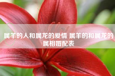 十二生肖配对花 十二生肖与花对应表