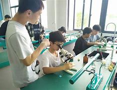 初中科学学习方法数学 初中生如何学好科学数学