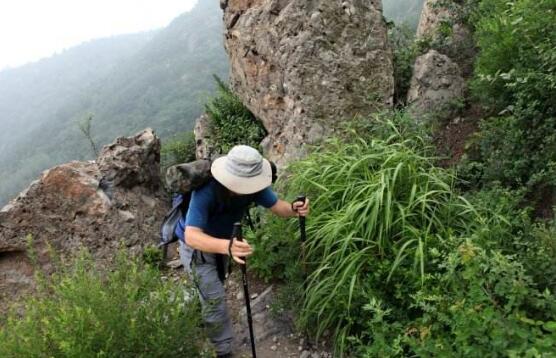 每天爬山上坡跑步能减肥吗 每天爬山上坡跑步能减肥吗女