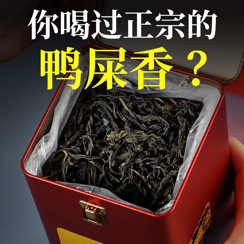 大红袍鸭屎香属于什么茶 鸭屎香和大红袍的味道有什么区别