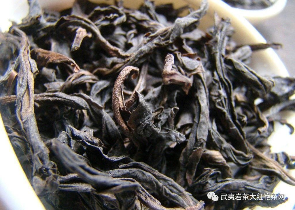 芳华大红袍属于什么茶 芳华大红袍属于什么茶种