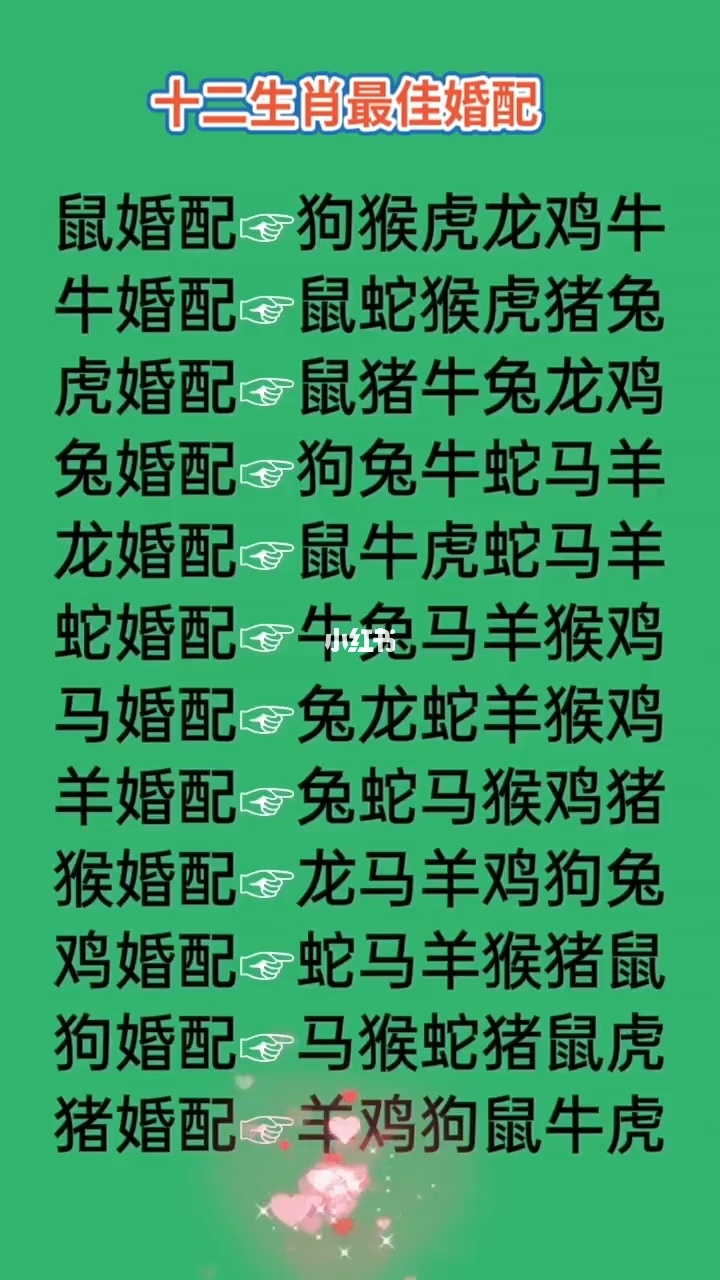 十二生肖的配对对照表 十二生肖的配对对照表图片