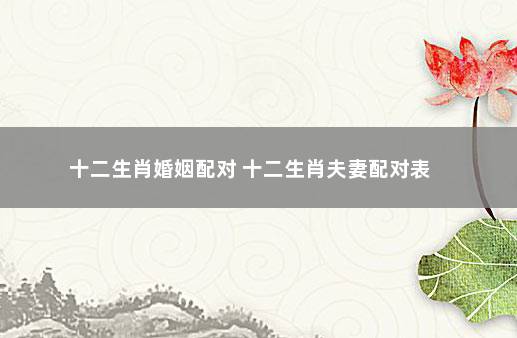 十二生肖最新婚姻配对指数 十二生肖最新婚姻配对指数是多少