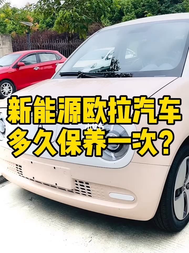 终生免保养的新能源汽车 终生免保养的新能源汽车是什么