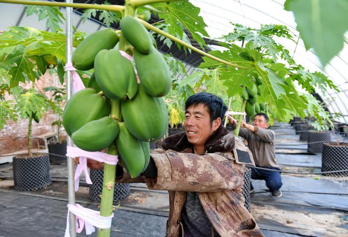 新农民创业做什么好 新农民创业做什么好赚钱