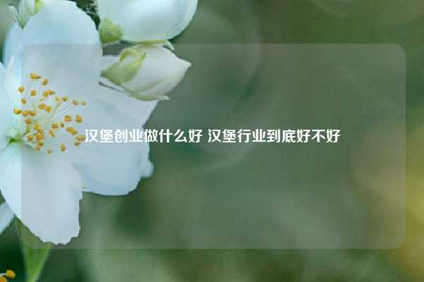 汉堡创业做什么好 汉堡行业到底好不好