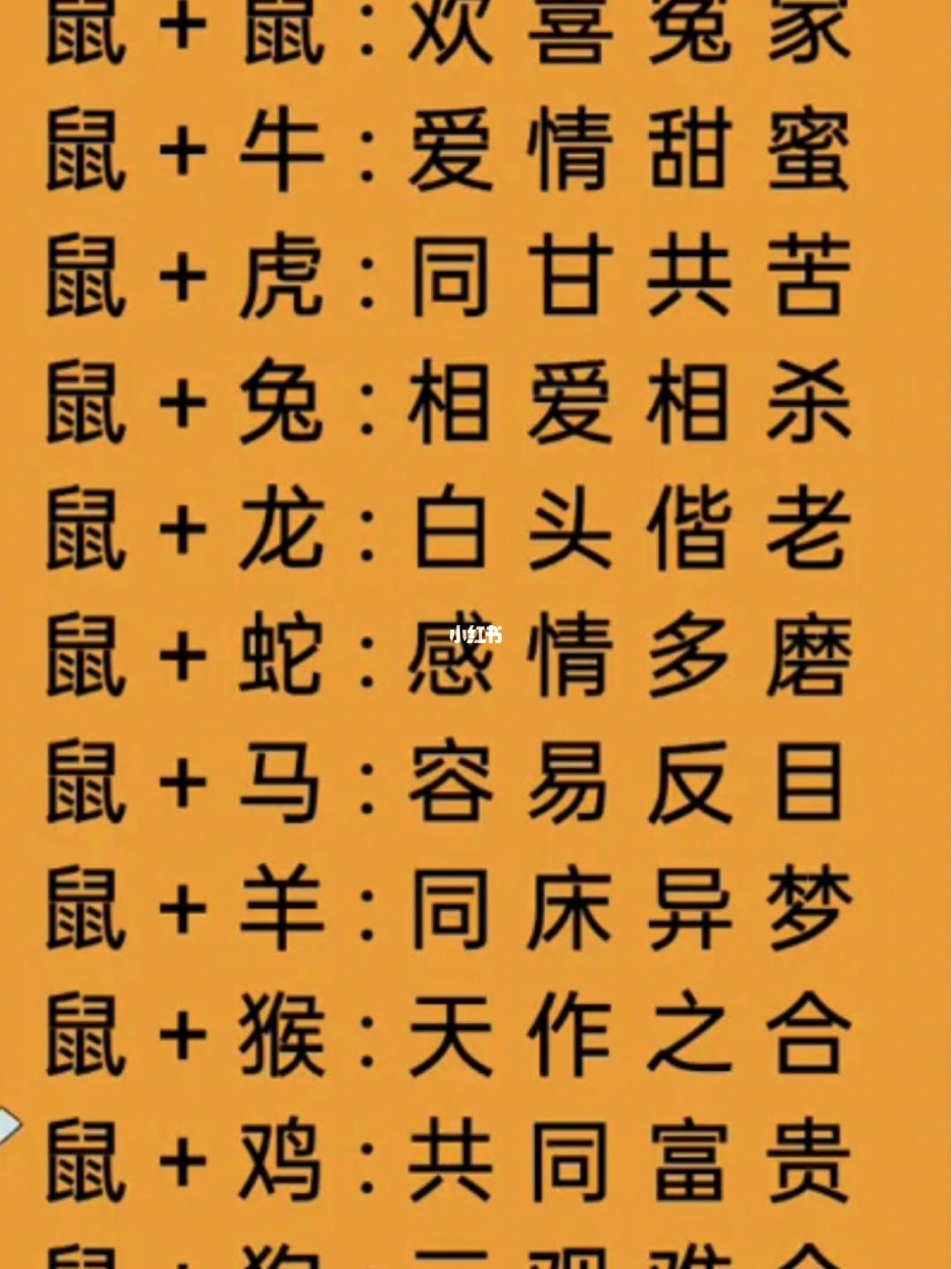 十二生肖龙配对最佳配偶 十二生肖龙配对最佳配偶图片