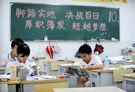 天山生物高中学习方法理科 