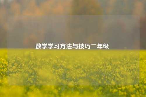 数学学习方法与技巧二年级 