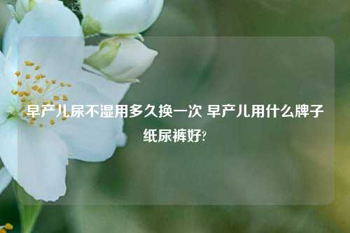 早产儿尿不湿用多久换一次 早产儿用什么牌子纸尿裤好?