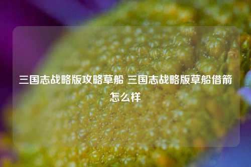 三国志战略版攻略草船 三国志战略版草船借箭怎么样