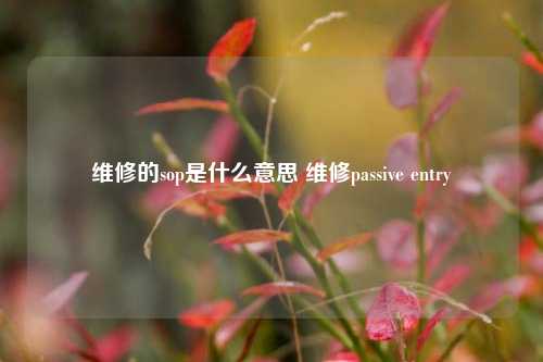 维修的sop是什么意思 维修passive entry