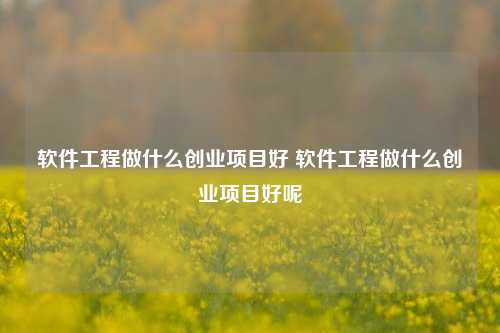 软件工程做什么创业项目好 软件工程做什么创业项目好呢