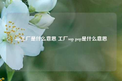 sop工厂是什么意思 工厂sop pop是什么意思