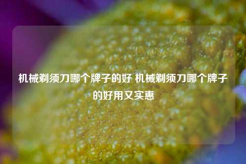 机械剃须刀哪个牌子的好 机械剃须刀哪个牌子的好用又实惠