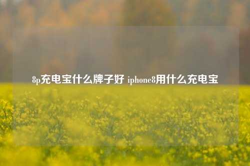 8p充电宝什么牌子好 iphone8用什么充电宝