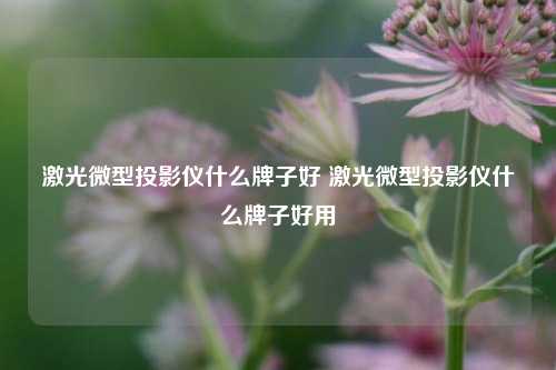 激光微型投影仪什么牌子好 激光微型投影仪什么牌子好用