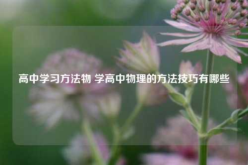 高中学习方法物 学高中物理的方法技巧有哪些